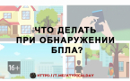 ЧТО ДЕЛАТЬ ПРИ ОБНАРУЖЕНИИ БПЛА?